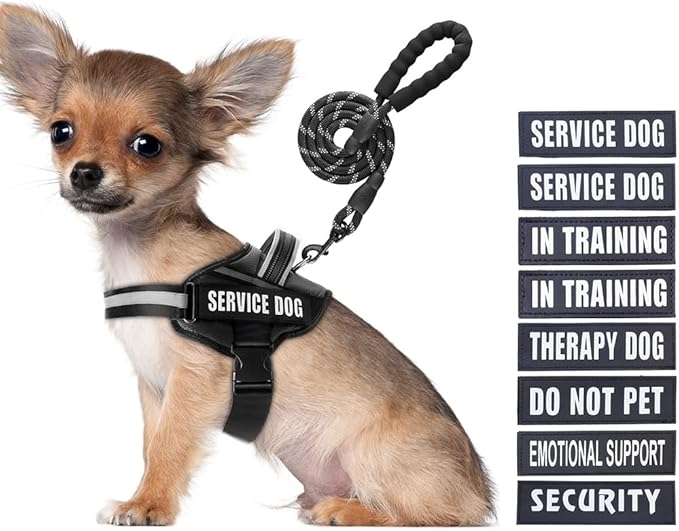 Service Dog Vest Harness and Leash Set, Animire in Training Dog Harness with 10 Dog Patches, Reflective Dog Leash with Soft Padded Handle for Small, Medium, Large, and Extra-Large Dogs (Black,S)