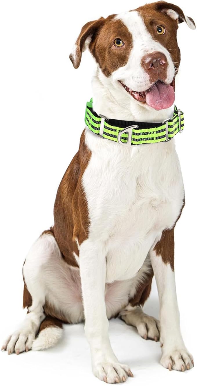 Martingale Collar for Dogs -Reflective Nylon No Slip Choke with Padded Comfort Heavy Duty Dog Collar with Quick Release Buckle for Training, Walking & Overexcited Pulling Green L