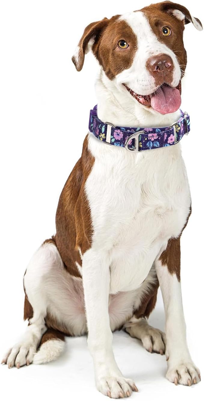 Heavy Duty Martingale Collar for Dogs - Reflective Nylon with Quick Release Buckle & Purple Flowers Design - No Slip Choke Collar for Training, Walking & Nighttime Safety L
