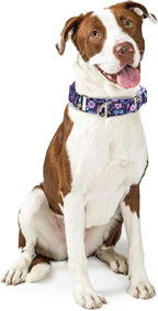 Heavy Duty Martingale Collar for Dogs - Reflective Nylon with Quick Release Buckle & Purple Flowers Design - No Slip Choke Collar for Training, Walking & Nighttime Safety L