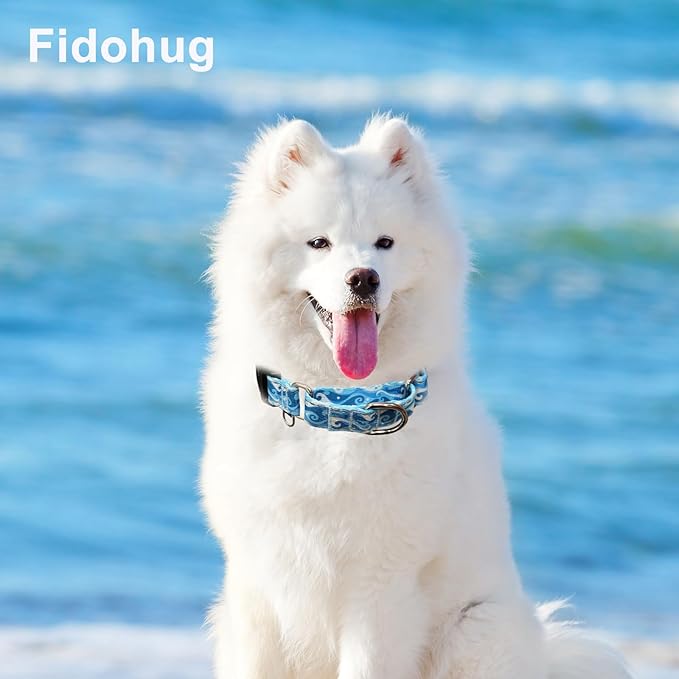 Reflective Martingale Collar with Quick Release Buckle Anti Pulling Boy Male Adjustable Dog Collars (Blue Waves, XSmall)