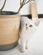 Plus Size Cat Scratching Mat Pastable Natural Sisal Grinding Claws Mat and Anti-Slip Carpet for Cat Grinding Claws and Furniture Protecting Carpet Sofas (40 * 60cm)