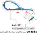Reflective Slip Dog Collar, Loop Dog Collar with Soft Padded Training -Suitable for Dog Weight 20-38 lbs (5/8" W x 15.5" L, Teal)