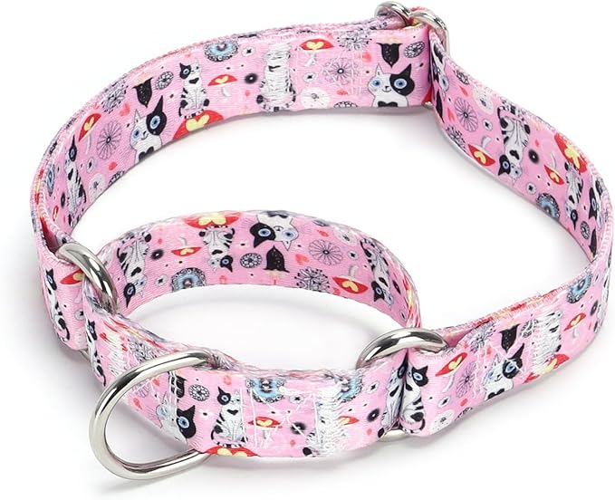Serijoars Adjustable Martingale Dog Collar Heavy Duty Nylon Dog Collar for Medium Large Dogs Walking Training Boy and Girl Dogs (NO12, M)