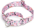Serijoars Adjustable Martingale Dog Collar Heavy Duty Nylon Dog Collar for Medium Large Dogs Walking Training Boy and Girl Dogs (NO12, M)
