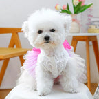 ANIAC Fancy Small Dog Dress, Bow Knot Girl Puppy Clothes, Cat Princess Dress, Spring Dog Clothes Female, Formal Pet Pary Outfit for Wedding Birthday Valentines (Red Bow, X-Small)