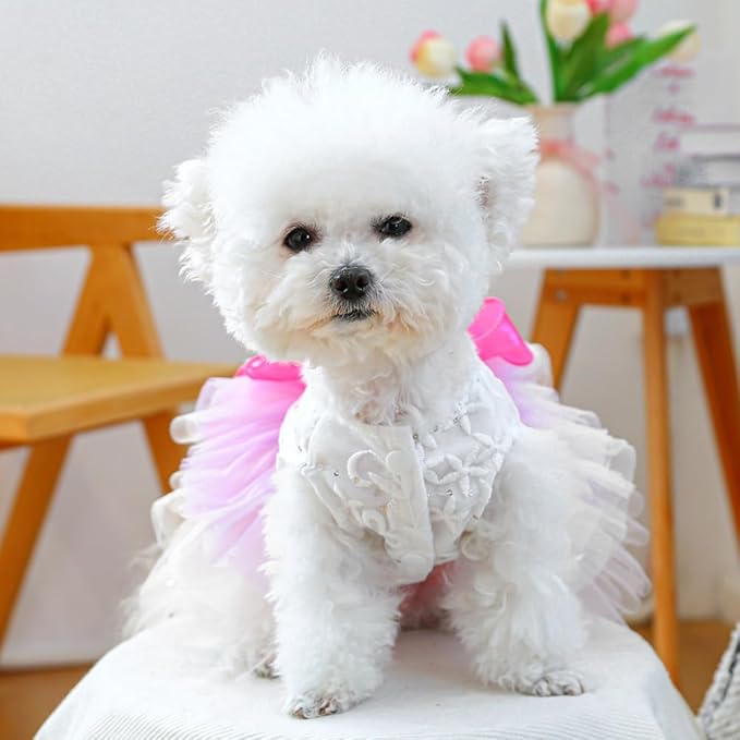 ANIAC Fancy Small Dog Dress, Bow Knot Girl Puppy Clothes, Cat Princess Dress, Spring Dog Clothes Female, Formal Pet Pary Outfit for Wedding Birthday Valentines (Red Bow, Small)