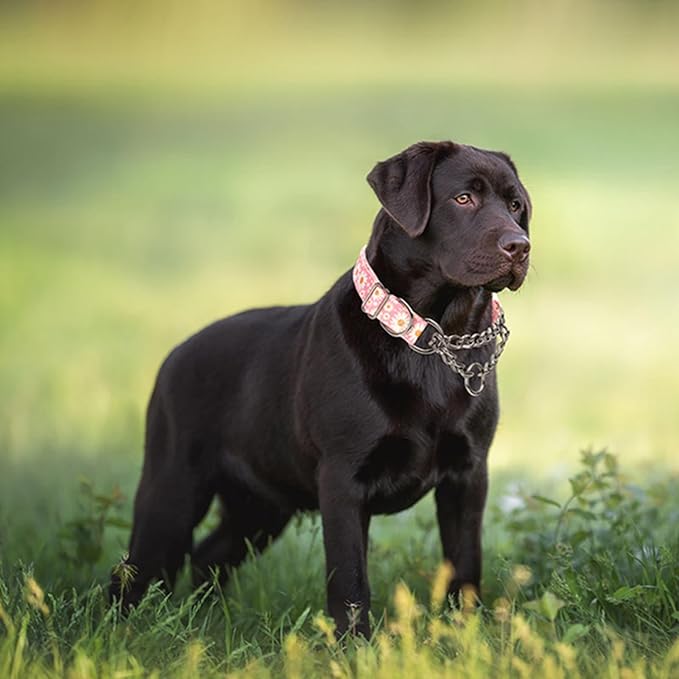 Dog Choker Collar for Large Dogs,Martingale Collar for Dogs,Slip Collar for Dogs,Training Heavy Duty No Pull Escape Proof Dog Dog Collar for Medium Large Pet Boy Male Dogs,Pink Daisy XL