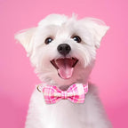 Tunkoo Dog Collar Super Cute Pink Plaid with Bow Tie - Durable Adjustable and Stylish Cotton Pet Collar for Girls Small Medium Large, M