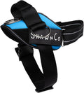 ShawnCo Essential Pro Dog Harness, No-Pull Pet Vest with 3 Leash Clips and Removable, Reflective Side Patches, Adjustable and Padded Harness for Small, Medium and Large Dogs (Oceanic Blue, L)