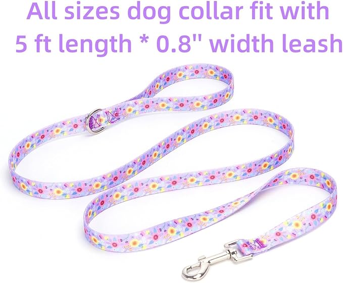 Dog Collar with Leash Airtag Holder Case Set - Dog Collars for Male Female Boy Girl Puppy X-Small Small Medium Large Dogs Walking Running Training - Purple Daisy/XS