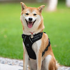 PoyPet No Pull Dog Harness, Reflective Comfortable Vest Harness with Front & Back 2 Leash Attachments and Easy Control Handle Adjustable Soft Padded Pet Vest for Small to Large Dogs (Black,L)