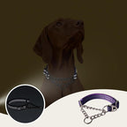 Reflective Martingale Dog Collar with Chain - Comfortable & Safe Choke Dog Collar for Medium Large Extra Large and XXL Dogs Trainer Recommended Collar (Purple Flowers M)