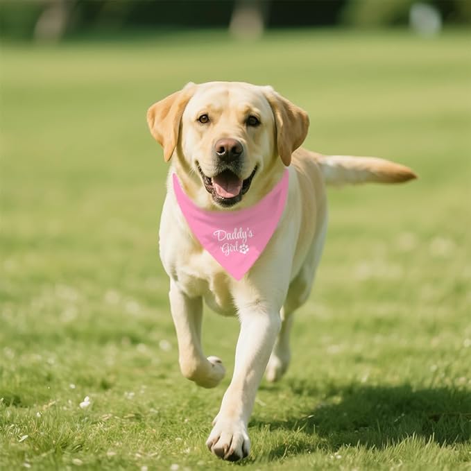 Daddy's Girl Funny Dog Bandana, Valentines Day Dog Bandana for Dogs Lovers Gifts, Pink Pet Scarf Accessories for Birthday Party Gender Reveal, Father's Day Christmas Birthday Gifts for Girl Pet