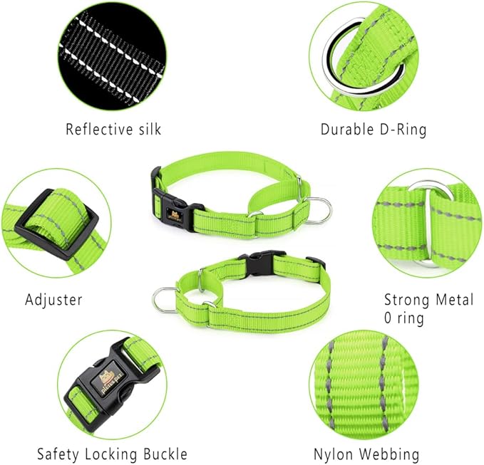 Plutus Pet Reflective Martingale Collar with Buckle - Durable and Adjustable Training Collar for No Pulling, Dog Choker Collar for Small Medium Large Dogs, Bright Green, L