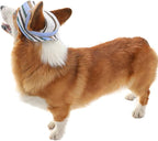 Round Brim Princess Hat Visor Hat Pet Dog Mesh Porous Sun Hat with Ear Holes for, Extra Dog Teddy, Pug, Chihuahua, Shih Tzu, Yorkshire Terriers, Papillon Z-2-blue Medium