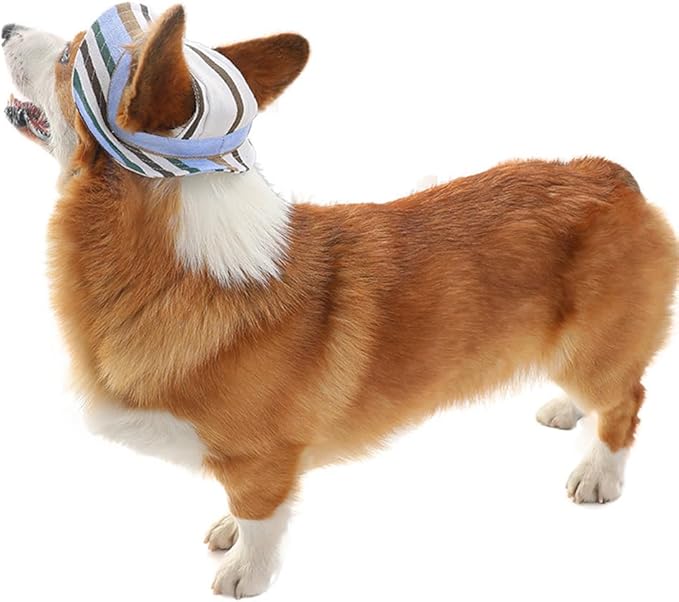 Round Brim Princess Hat Visor Hat Pet Dog Mesh Porous Sun Hat with Ear Holes for, Extra Dog Teddy, Pug, Chihuahua, Shih Tzu, Yorkshire Terriers, Papillon Z-2-blue Medium