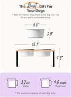 Elevated Dog Bowls, Raised Dog Bowl Stand with Two 6.5 inch Ceramic Bowl, Non-Slip Puppy Food and Water Bowls, Dogs Feeder for Small and Medium Breed, White