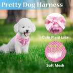 PUPTECK Dog Harness for Puppy and Small Sized Dogs, Step-in No Pull Soft Mesh Vest Harness for Cats Small Pets Walking, Pink, S