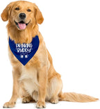 Drinking Buddy Dog Bandana, Funny Cute Dog Bandana, Pet Dog Triangle Scarf, Blue Dog Bandana, Dog Bandana for Small Medium Large Dogs, Gift for Dog Lover (A29)