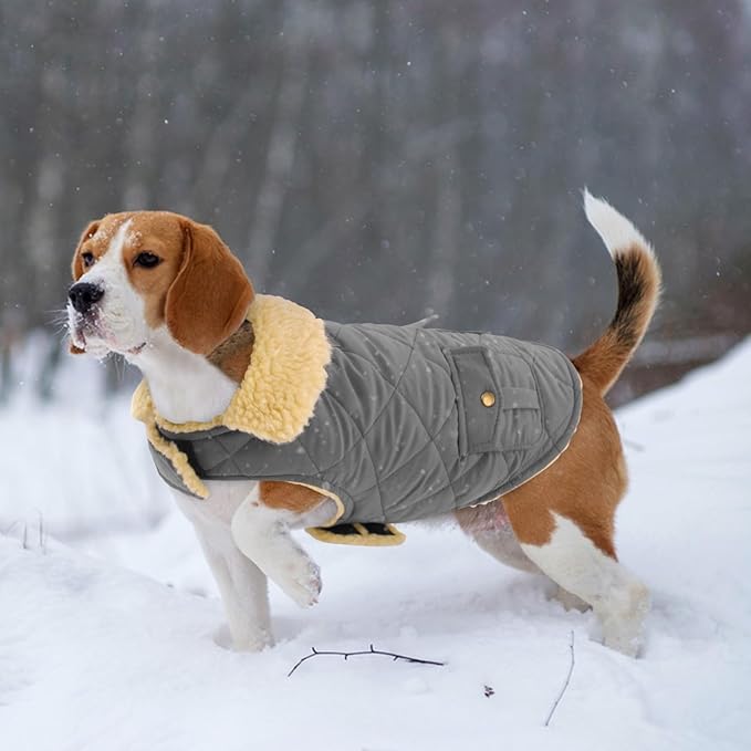 Dog Winter Coat for Small Dogs, Puppy Plaid Jacket, Pet Coat for Cold Weather, Windproof Warm Dog Jackets, Pet Thickened Outfits Indoor Outdoor, Grey XS