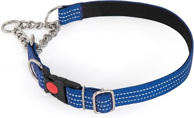 Martingale Collars,Reflective Dog Collar,Side Release Buckle,Adjustable Chain Training Pet Collars (Blue, L,Neck 15"-27")
