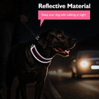Mayerzon 2 Inch Wide Martingale Collar for Large Dogs, Patented No Pull Walking Training Dog Collar for Pitbull German Shepherd, with Buckle, Reflective Stitching, Adjustable (Hot Pink, XL)