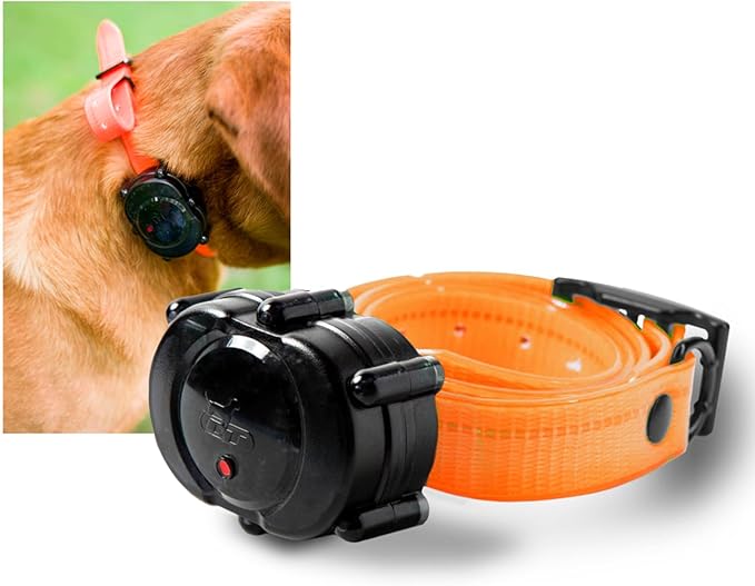 DT SYSTEMS Micro iDT Additional Collar for DT Systems Micro iDT Plus Dog Training System, 6-22" Adjustable Replacement Add-On E-Collar - Orange