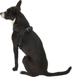 No Pull Reflective Adjustable Dog Harness with Handle- Comfortable Soft All Weather Mesh, Easy On Puppy Harness for Small Medium and Large Dogs (Black) Small