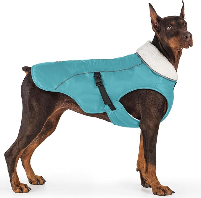 EMUST Winter Dog Jacket, Windproof Dog Apparel for Cold Weather, Reflective Coats for Dogs, Warm Puppy Jacket for Cold Winter, Turquoise, S