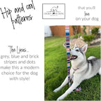 Lucky Love Dog Martingale Dog Collar - Adjustable, No-Slip, Durable, & Soft Webbing Collar for Male and Female Dogs Ideal for Training & Walking - Linus, Large