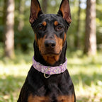 Purple Martingale Collars for Dogs, Daisy Print No-Slip Escape Proof Choke No Pull Soft Nylon Training Dog Collars for Small Medium Large Breed Pet Dogs, S
