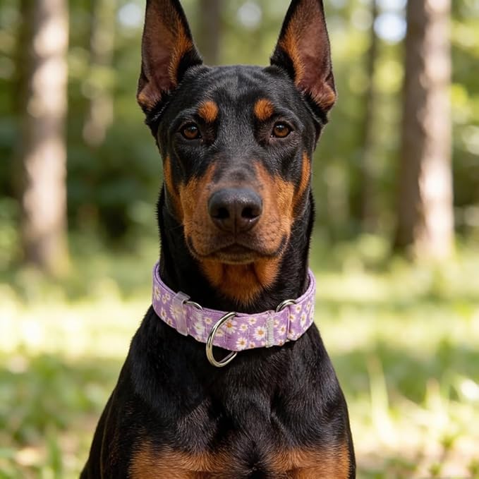 Purple Martingale Collars for Dogs, Daisy Print No-Slip Escape Proof Choke No Pull Soft Nylon Training Dog Collars for Small Medium Large Breed Pet Dogs, L