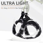 PUPTECK Dog Harness and Leash Set for Small Medium Dogs No Pull Step-in Soft Mesh Puppy Cat Vest Harnesses Reflective at Night, Black XS