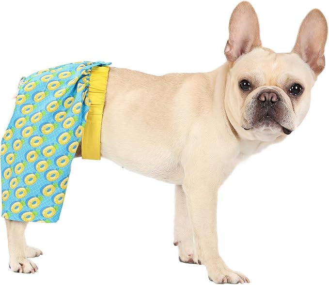 HDE Dog Swim Trunks Hawaiian Board Shorts Beach Pool Swimsuit for XS to XXL Dogs Pineapple Floats - M