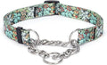 Martingale Dog Collar - Stainless Steel Chain, No Pull Training Collar with Flower Design for Large Medium Small Dogs (S, Green)