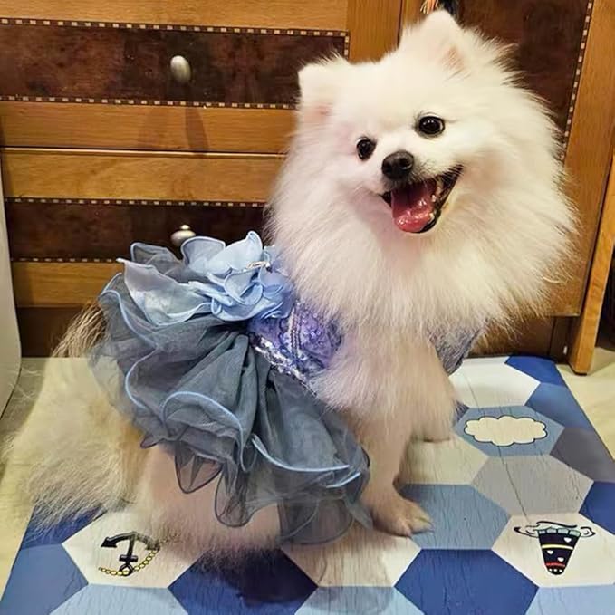 ANIAC Blue Cat Wedding Dress with Bow Knot Dog Wedding Outfit Formal Puppy Clothes for Girl Small Dog Luxury Pet Party Dress for Kitten Chihuahua Yorkie Pomeranian (Blue-2, X-Large)