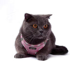 AMTOR Small Dog Harness with Leash Set, No Escape Easy Walk Puppy Harnesses for Training Walking, Step-in Reflective Soft Dogs Vest for XS S Medium Extra-Small Large Sized Dog(XXS Size,Pink/White)