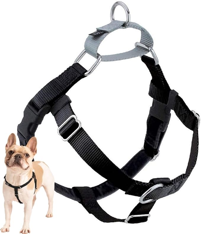 2 Hounds Design Freedom No Pull Dog Harness, Adjustable Harness, Easy Walking & Comfortable Control, Fits Small, Medium & Large Dogs, Solid Colors, Made in USA, 5/8" SM, Black