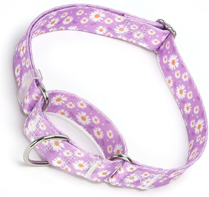 Purple Martingale Collars for Dogs, Daisy Print No-Slip Escape Proof Choke No Pull Soft Nylon Training Dog Collars for Small Medium Large Breed Pet Dogs, L