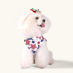 CuteBone 4th of July Dog Shirts 2-Pack Soft Pet Clothes Breathable Summer Vest for Small Puppy and Stretchy Cat Apparel 2BX13S
