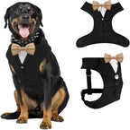AVERYDAY Dog Tuxedo for Wedding Outfit, Dog Suit and Tie Costumes for Birthday, Halloween, Cosplay, Christmas Party, Pet Formal Wear with Bowtie, Tux for Medium Large Dogs, Bulldog, Labrador, Husky