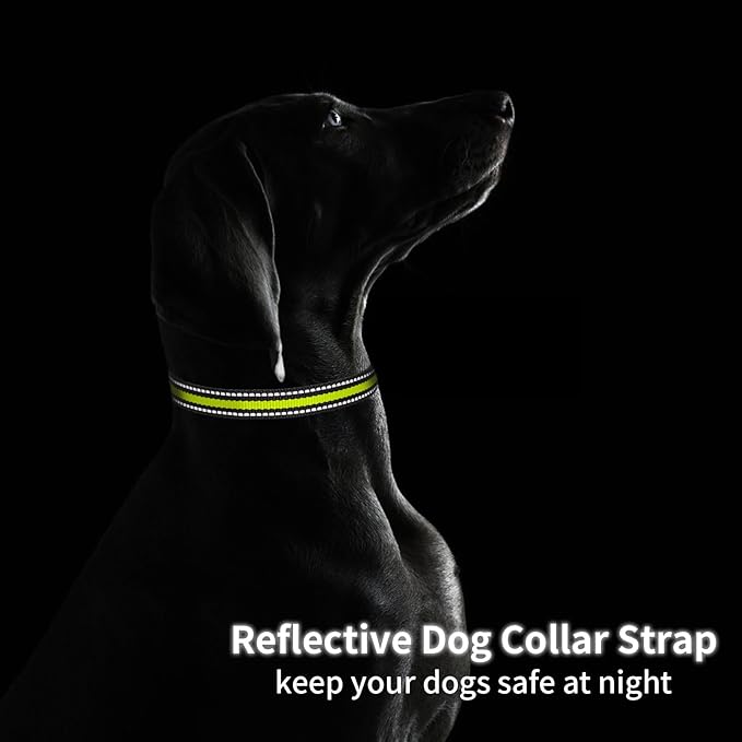 Puppy Collars, Modern Stylish Reflective Dog Collars, Adjustable Dog Collar for Small Medium Large Dogs Boy Girl, Replacement Collar for Shock Collar, E Collar Replacement Strap(Black & Green)
