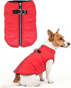 Puppy Winter Coat Waterproof Jacket for Small Dogs - Lightweight Insulated Bomber