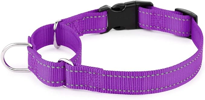 PLUTUS PET Reflective Martingale Collar with Quick Snap Buckle,No Pull Dog Choker Collar for Small Medium Large Dogs,M,Purple