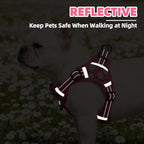 PUPTECK No Pull Dog Harness Small Sized Dog, Adjustable Reflective Escape Proof Easy Control, Comfortable Soft Padded Step in Pet Vest Harness, Fuschia, M