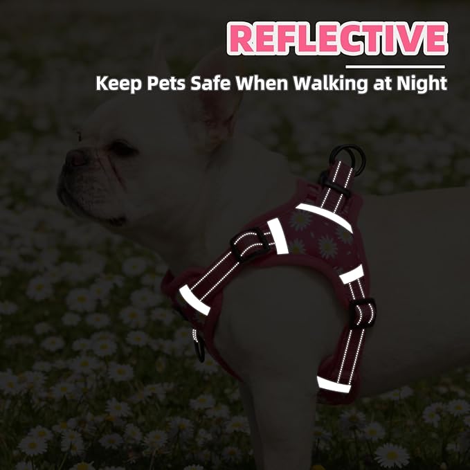 PUPTECK No Pull Dog Harness Small Sized Dog, Adjustable Reflective Escape Proof Easy Control, Comfortable Soft Padded Step in Pet Vest Harness, Fuschia, M