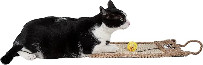 Pet Life ® Eco-Natural Sisal and Jute Hanging Carpet Kitty Cat Scratcher Lounge with Toy