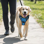 BARKBAY No Pull Dog Harness Large Step in Reflective Dog Harness with Front Clip and Easy Control Handle for Walking Training Running with ID tag Pocke(Blue/Black,M