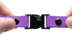 Educator 3/4-Inch Dog Training Collar Strap–ONLY Fits ME-300, ET-300/400, EZ-900, PE-900 & PG-300 Receivers – NOT Compatible with FE-580, ET-800 or UL-1200–Quick Snap Biothane Bungee Collar, Purple